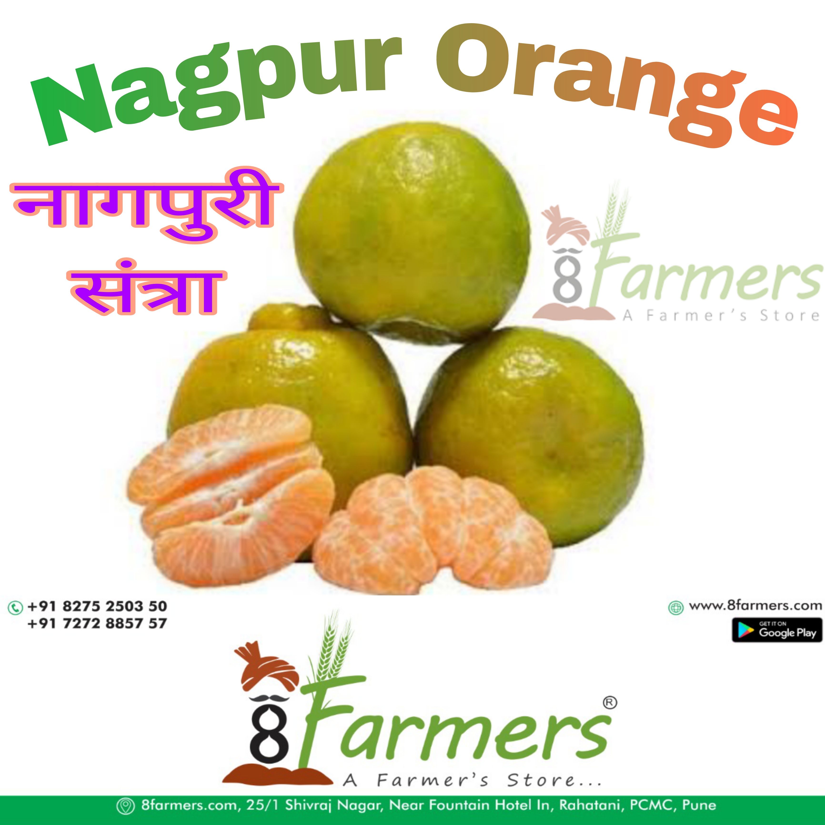 Nagpur Orange