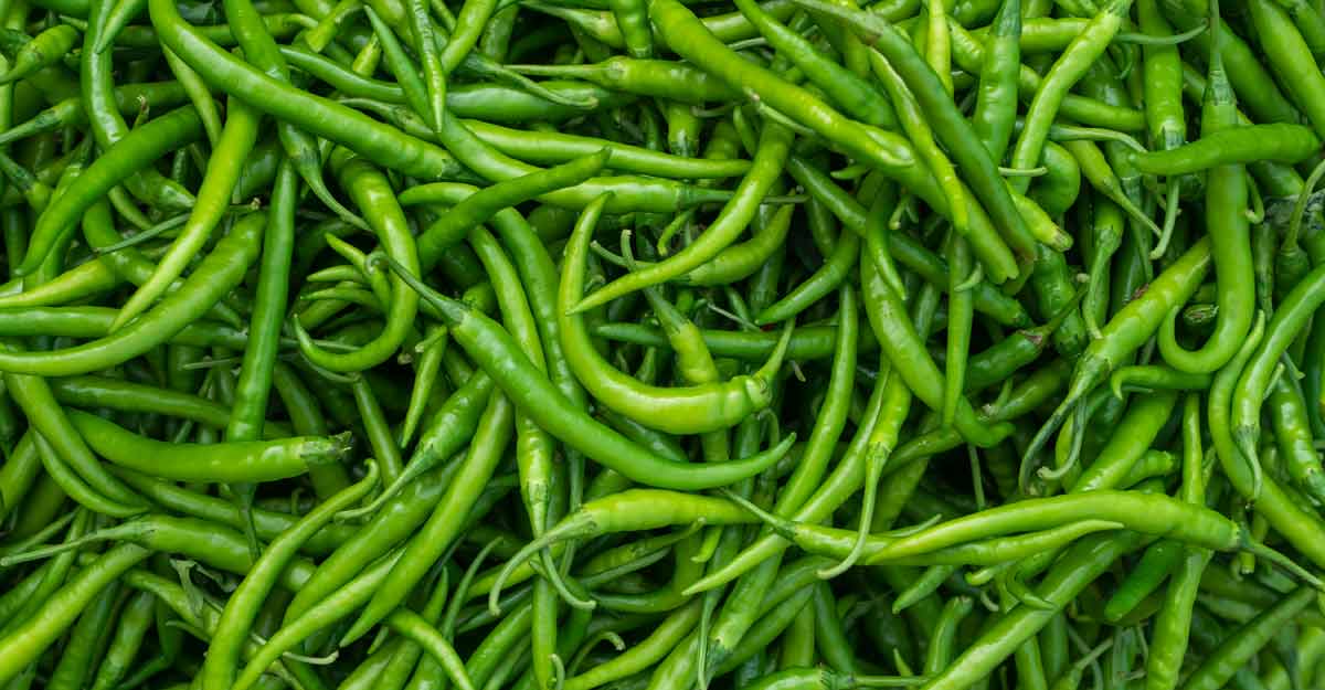 Green Chilli / Hari Mirchi 